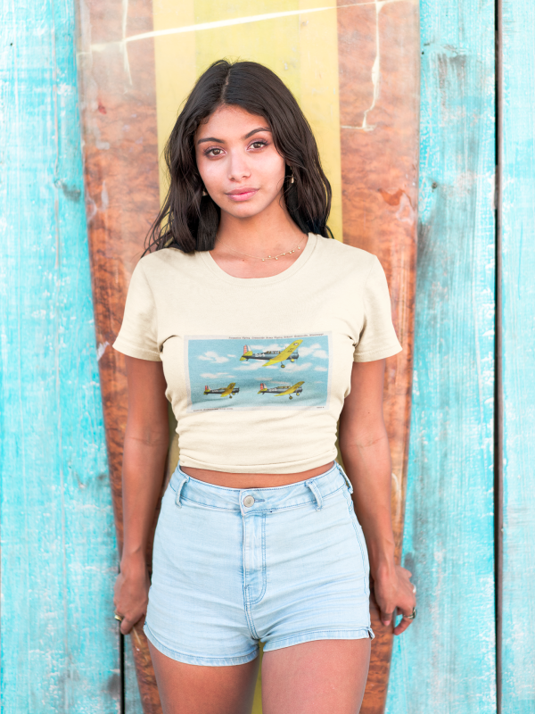 Greenville MS (Formation Flying) Vintage Airplane Post Card Graphic Tee, Unisex Garment-Dyed T-shirt, Sky Lover Gift, Aviation Enthusiast Shirt, Retro Airplane Apparel, Casual - Image 5
